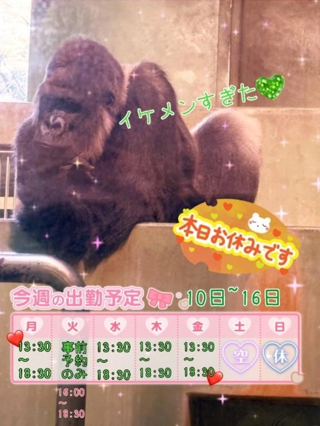 【江田豆通信】