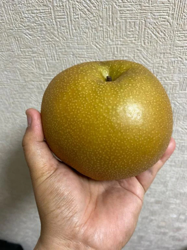 出勤しました｜写メ日記｜上野｜鶯谷 一般デリヘル 鶯谷デッドボール