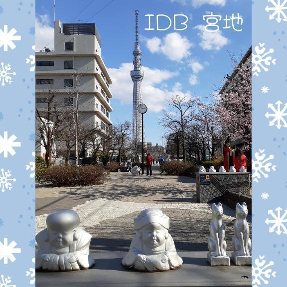 🌸｜写メ日記｜宮地｜鶯谷 一般デリヘル 鶯谷デッドボール