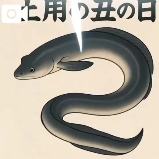 19日は……｜写メ日記｜ドリス｜鶯谷 一般デリヘル 鶯谷デッドボール