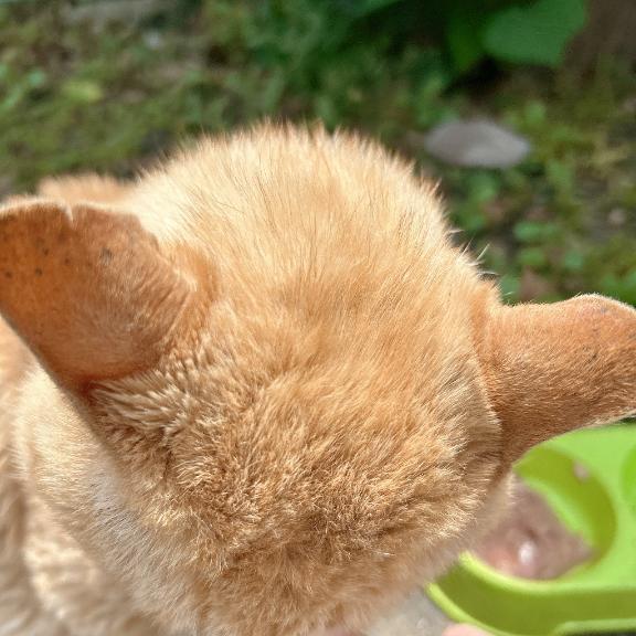 遊びに来てね！｜写メ日記｜及川｜鶯谷 一般デリヘル 鶯谷デッドボール