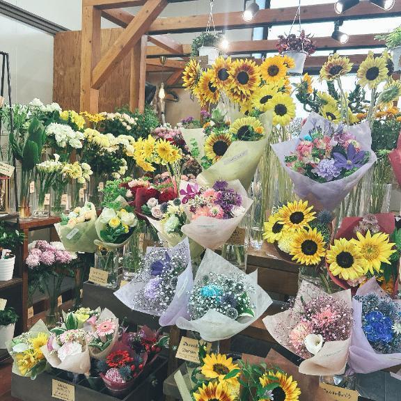 ご予約お待ちしております🩷｜写メ日記｜及川｜鶯谷 一般デリヘル 鶯谷デッドボール