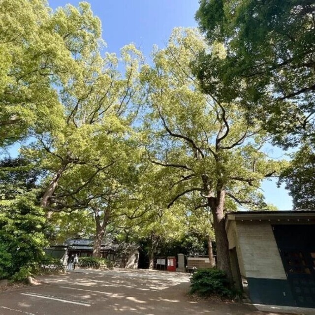 ご予約｜写メ日記｜及川｜鶯谷 一般デリヘル 鶯谷デッドボール