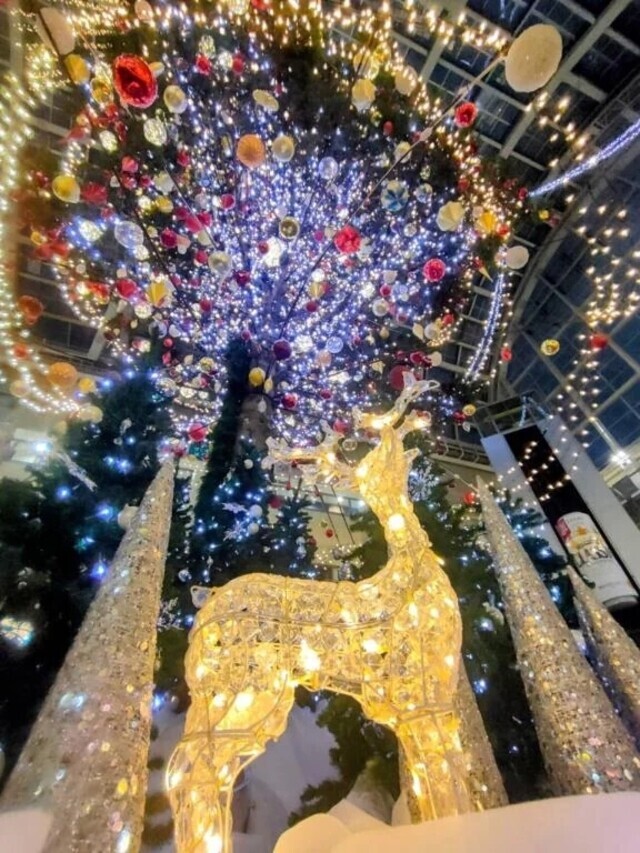 11/23お礼③｜写メ日記｜又木｜鶯谷 一般デリヘル 鶯谷デッドボール