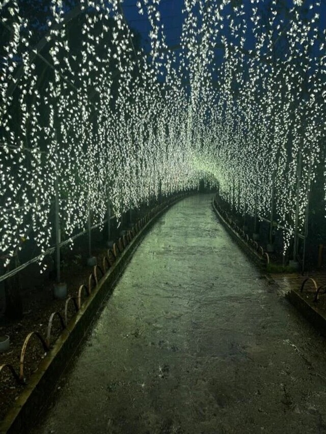 1/9お礼④｜写メ日記｜又木｜鶯谷 一般デリヘル 鶯谷デッドボール