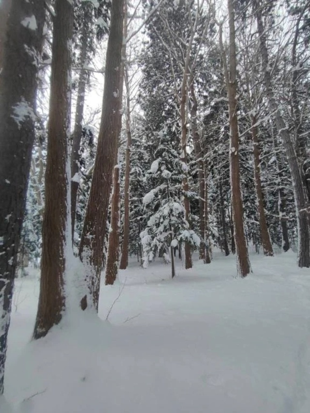 1/10お礼①｜写メ日記｜又木｜鶯谷 一般デリヘル 鶯谷デッドボール