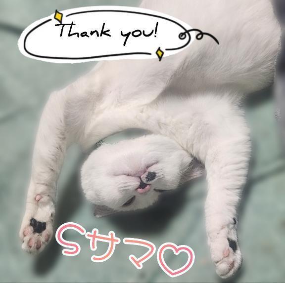 Sサマへお礼です｜写メ日記｜畔柳(くろやなぎ)｜鶯谷 一般デリヘル 鶯谷デッドボール