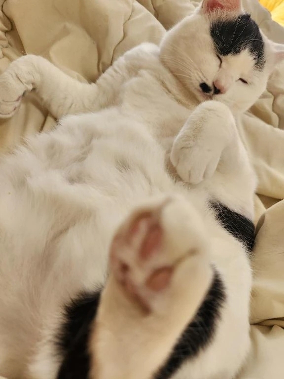 帰宅の刻ーーぅ｜写メ日記｜畔柳(くろやなぎ)｜鶯谷 一般デリヘル 鶯谷デッドボール