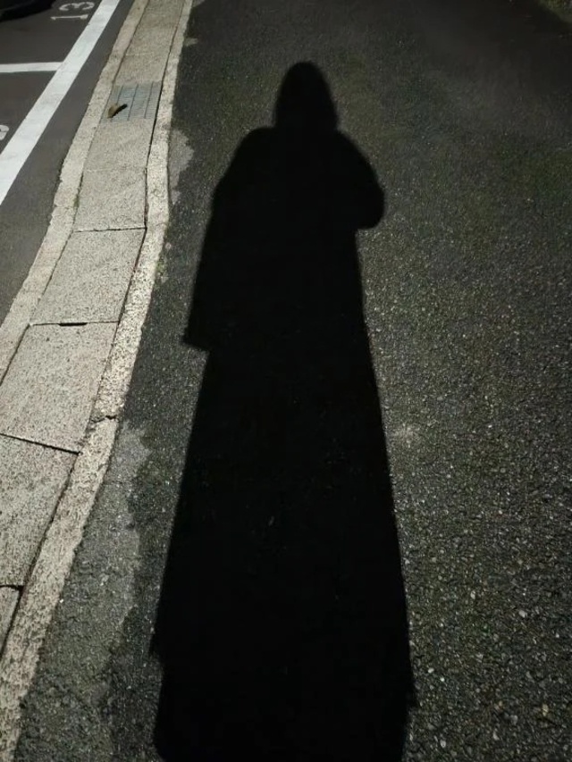 🐳ホエールウォッチング🐳