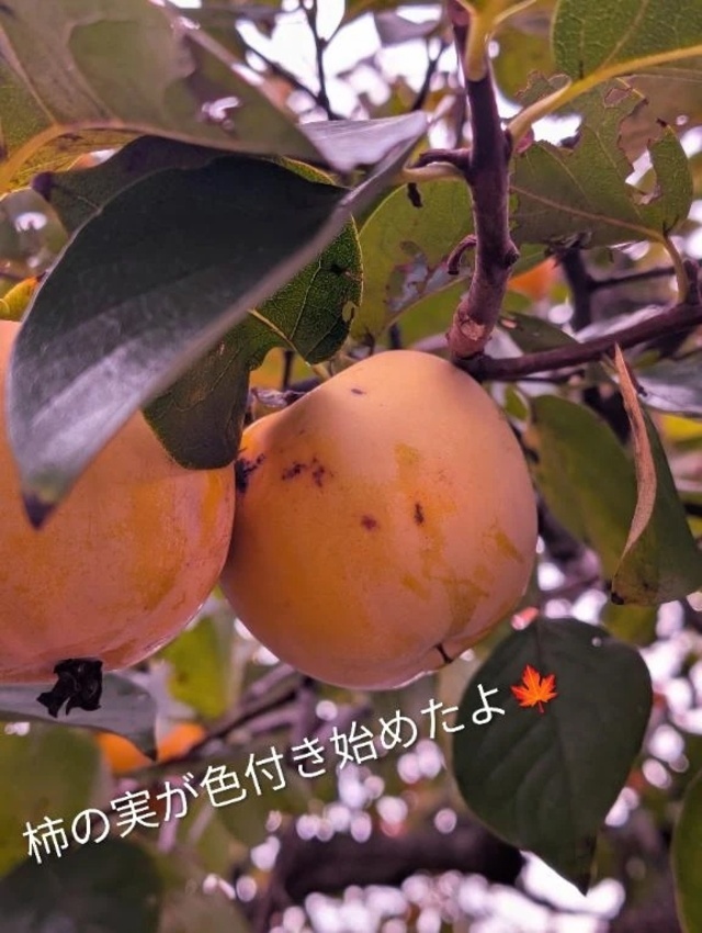 今日も楽しく🎶｜写メ日記｜岩下｜鶯谷 一般デリヘル 鶯谷デッドボール