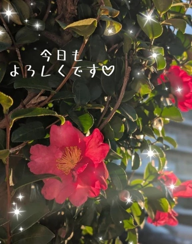 向かいまーす🐾｜写メ日記｜岩下｜鶯谷 一般デリヘル 鶯谷デッドボール