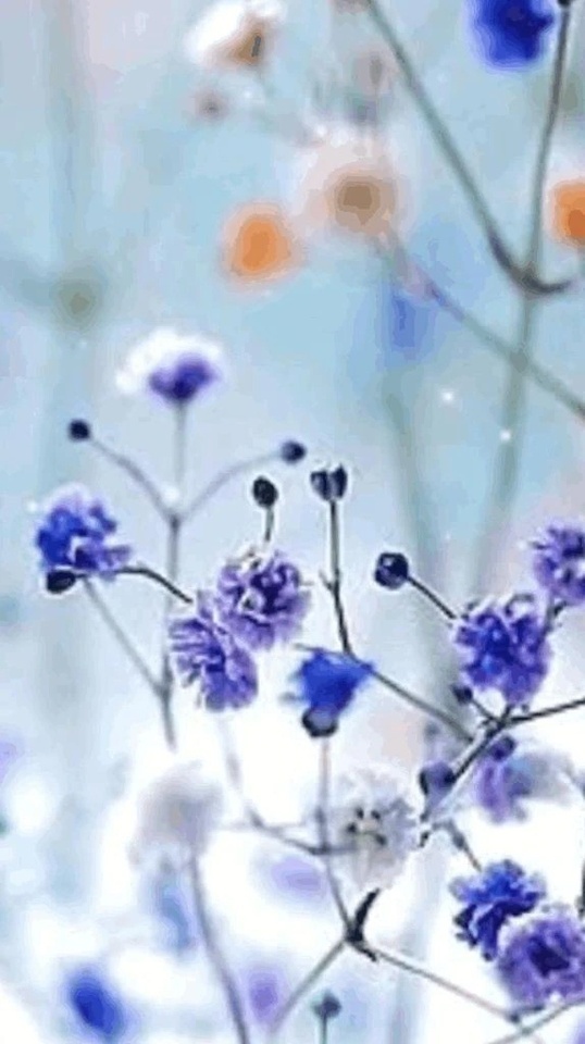 おはようございます｜写メ日記｜香田｜鶯谷 一般デリヘル 鶯谷デッドボール