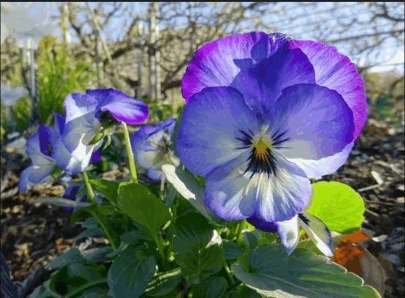 おはようございます｜写メ日記｜香田｜鶯谷 一般デリヘル 鶯谷デッドボール