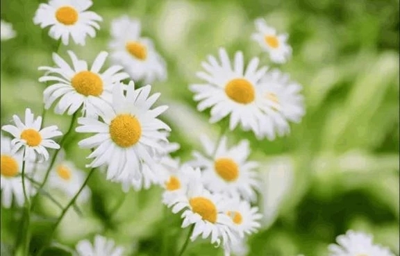 おはようございます｜写メ日記｜香田｜鶯谷 一般デリヘル 鶯谷デッドボール