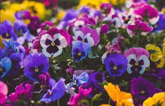 おはようございます｜写メ日記｜香田｜鶯谷 一般デリヘル 鶯谷デッドボール