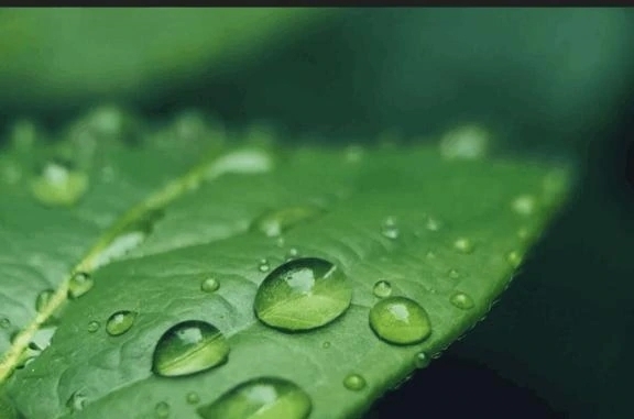 こんにちは｜写メ日記｜香田｜鶯谷 一般デリヘル 鶯谷デッドボール