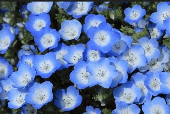 こんにちは｜写メ日記｜香田｜鶯谷 一般デリヘル 鶯谷デッドボール