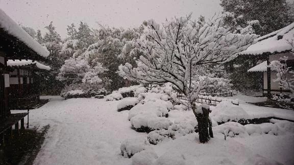 明けましておめでとう｜写メ日記｜山田｜鶯谷 一般デリヘル 鶯谷デッドボール