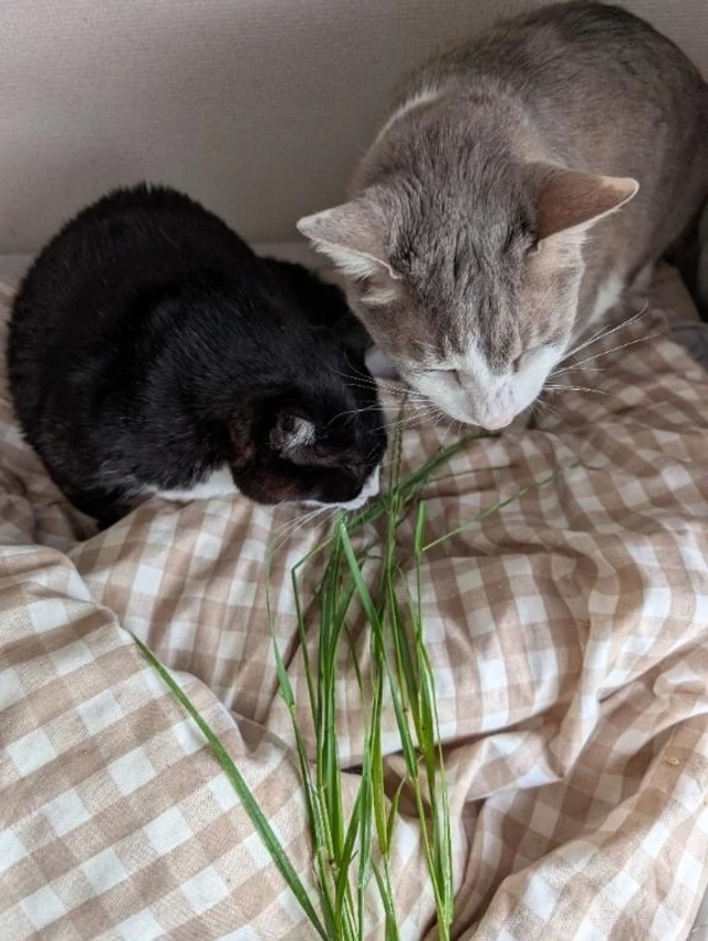 最近の日課｜写メ日記｜門別(モンベツ)｜鶯谷 一般デリヘル 鶯谷デッドボール