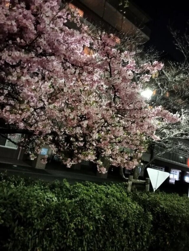 お礼日記💌2/25 シャーウッド H様｜写メ日記｜定岡｜鶯谷 一般デリヘル 鶯谷デッドボール