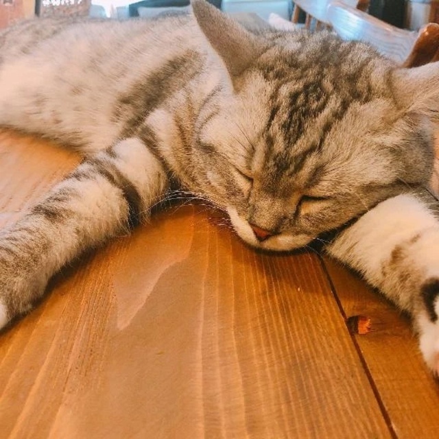 口コミありがとうございます♡