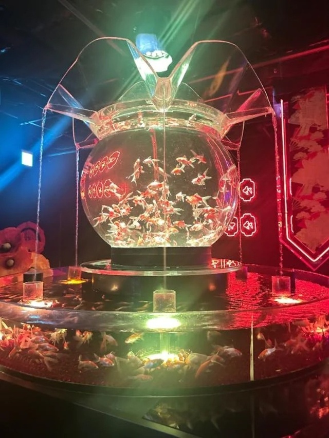 いい一日だった✨️｜写メ日記｜小山｜鶯谷 一般デリヘル 鶯谷デッドボール