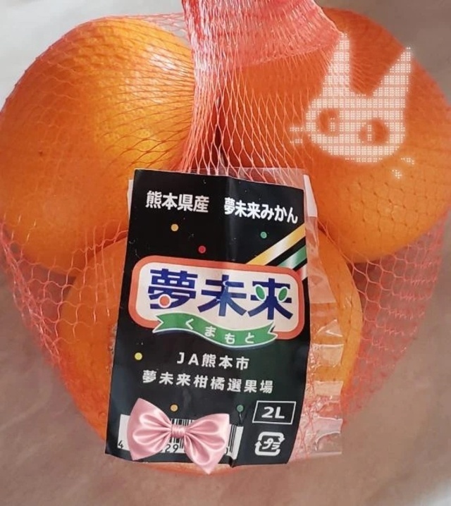 今ハマってるのは｜写メ日記｜八木｜鶯谷 一般デリヘル 鶯谷デッドボール