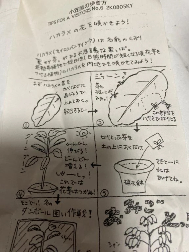 大柿にてk様ありがとうございましたっ｜写メ日記｜マーチン｜鶯谷 一般デリヘル 鶯谷デッドボール