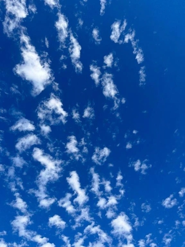 お休みいただいております！｜写メ日記｜清水｜鶯谷 一般デリヘル 鶯谷デッドボール