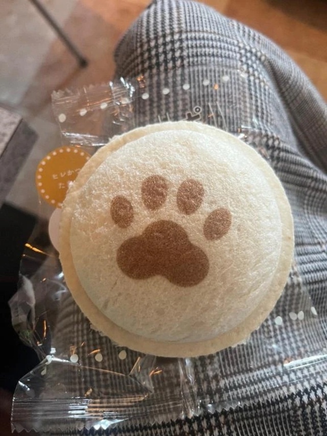 イベント1日目終了のお知らせ〜｜写メ日記｜清水｜鶯谷 一般デリヘル 鶯谷デッドボール