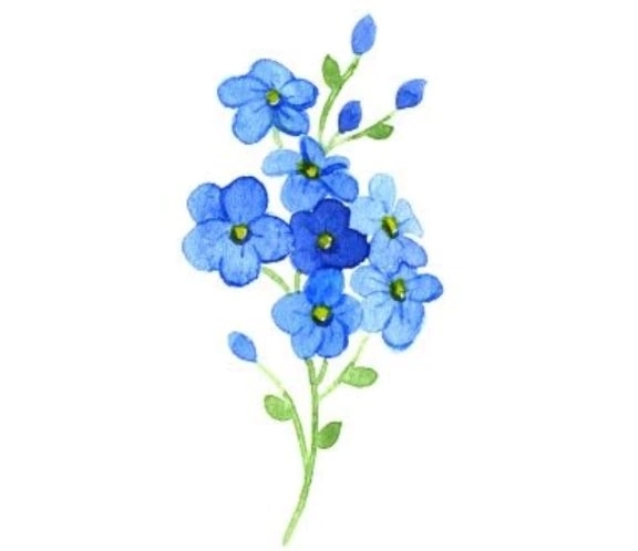 4月14日｜写メ日記｜清水｜鶯谷 一般デリヘル 鶯谷デッドボール