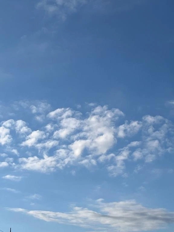 おはようございます。｜写メ日記｜清水｜鶯谷 一般デリヘル 鶯谷デッドボール