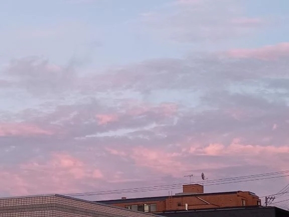 こんばんわ｜写メ日記｜千賀なつき｜鶯谷 一般デリヘル 鶯谷デッドボール