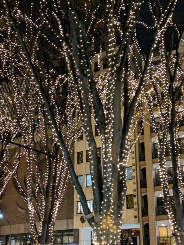 一時の恋人気分だけど、同じ時間を共有してますのよ。｜写メ日記｜ヤフーレ｜鶯谷 一般デリヘル 鶯谷デッドボール