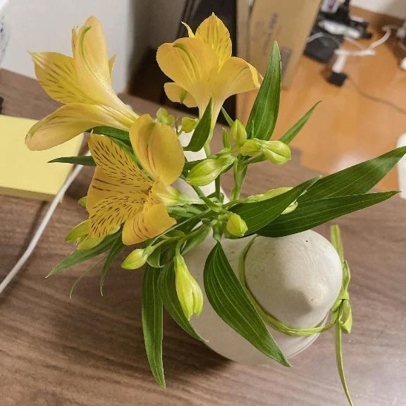 どうにかなる｜写メ日記｜大瀬良なつめ｜鶯谷 一般デリヘル 鶯谷デッドボール