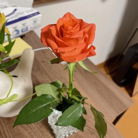 だらだらの日｜写メ日記｜大瀬良なつめ｜鶯谷 一般デリヘル 鶯谷デッドボール