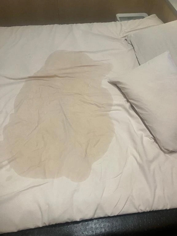 昨日も大量でちゅ🐹｜写メ日記｜スペンサー｜鶯谷 一般デリヘル 鶯谷デッドボール