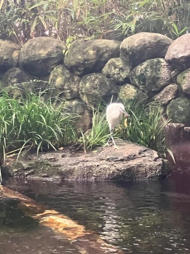 一軍？！｜写メ日記｜谷口｜鶯谷 一般デリヘル 鶯谷デッドボール