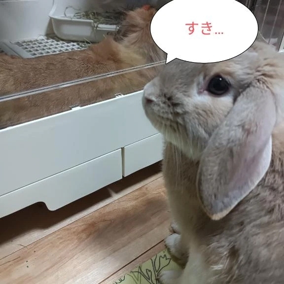 お誘い感謝☆