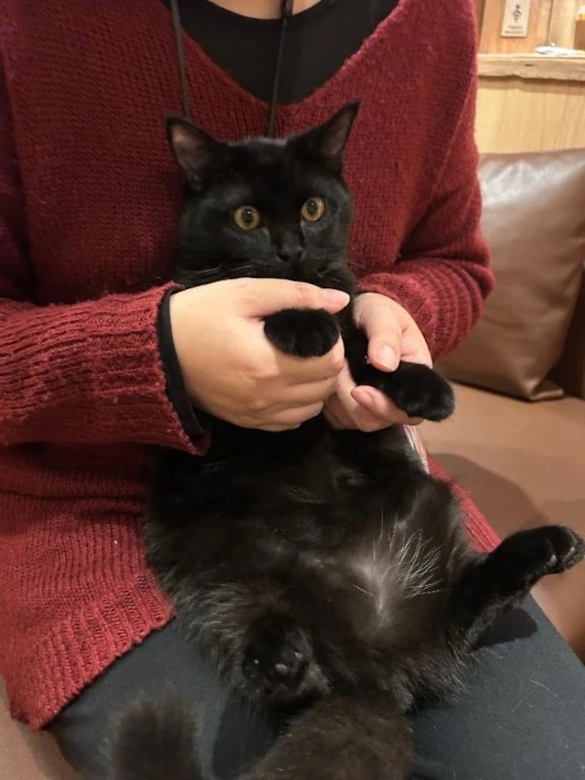 うに