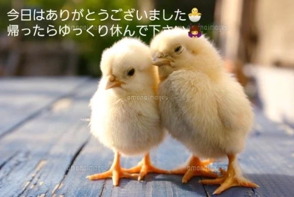事前予約&本指名🙇‍♀️｜写メ日記｜草加(くさか)｜鶯谷 一般デリヘル 鶯谷デッドボール