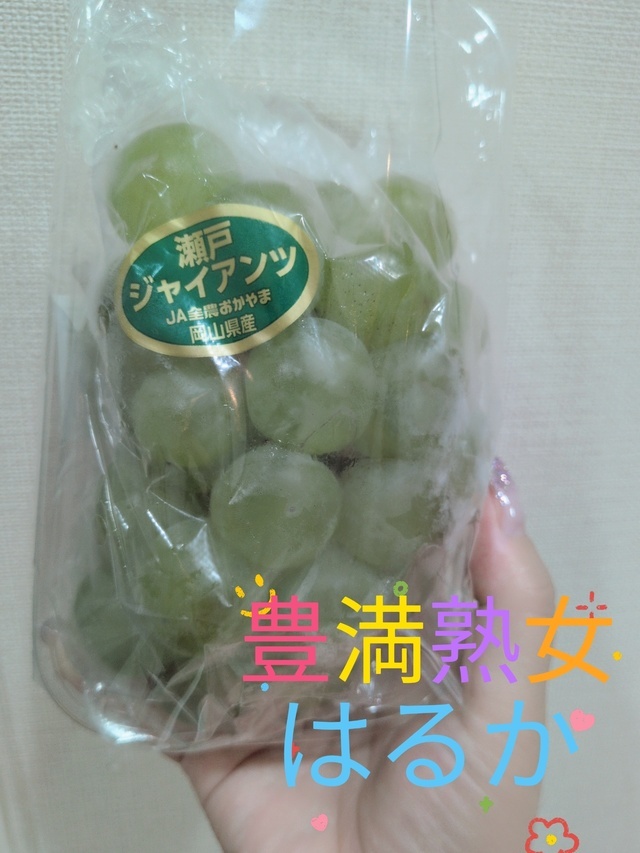 瀬戸ジャイアンツ