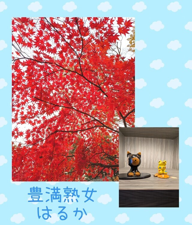 紅葉は綺麗だった｜写メ日記｜はるか｜鶯谷 ぽっちゃりデリヘル 豊満熟女