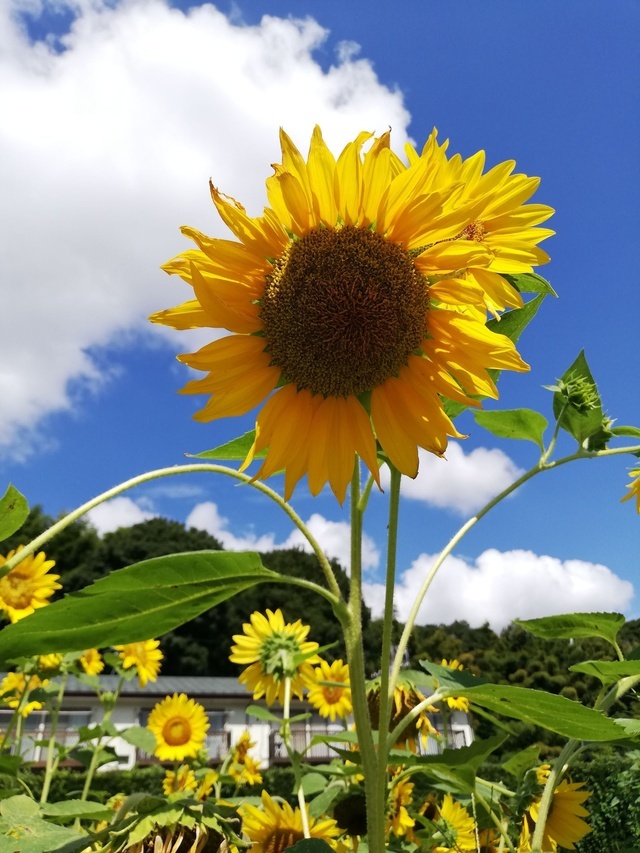 汗だくや