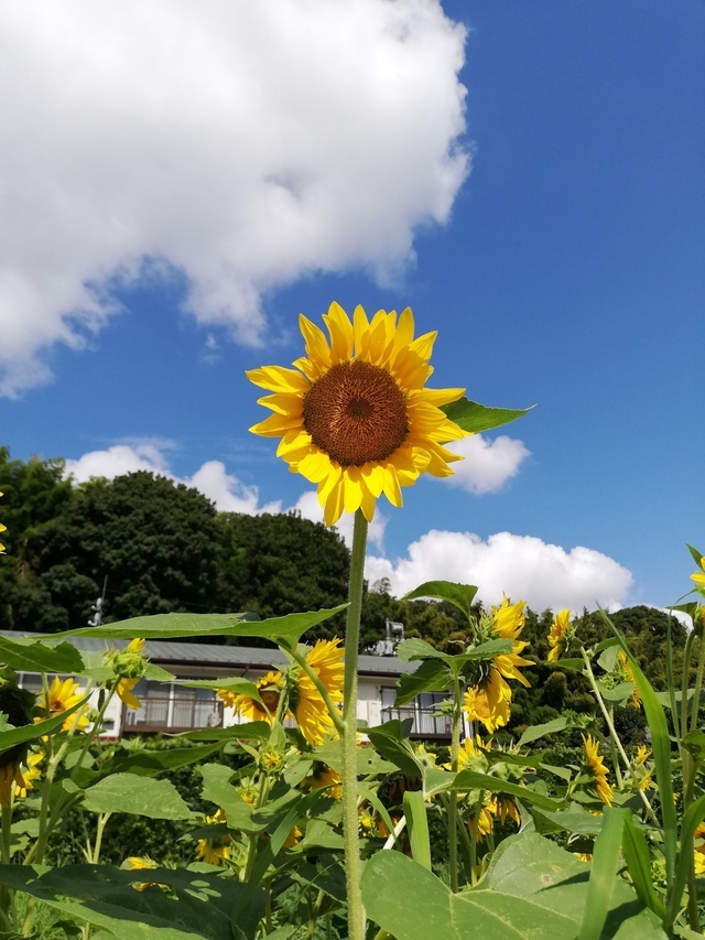 まだまだ