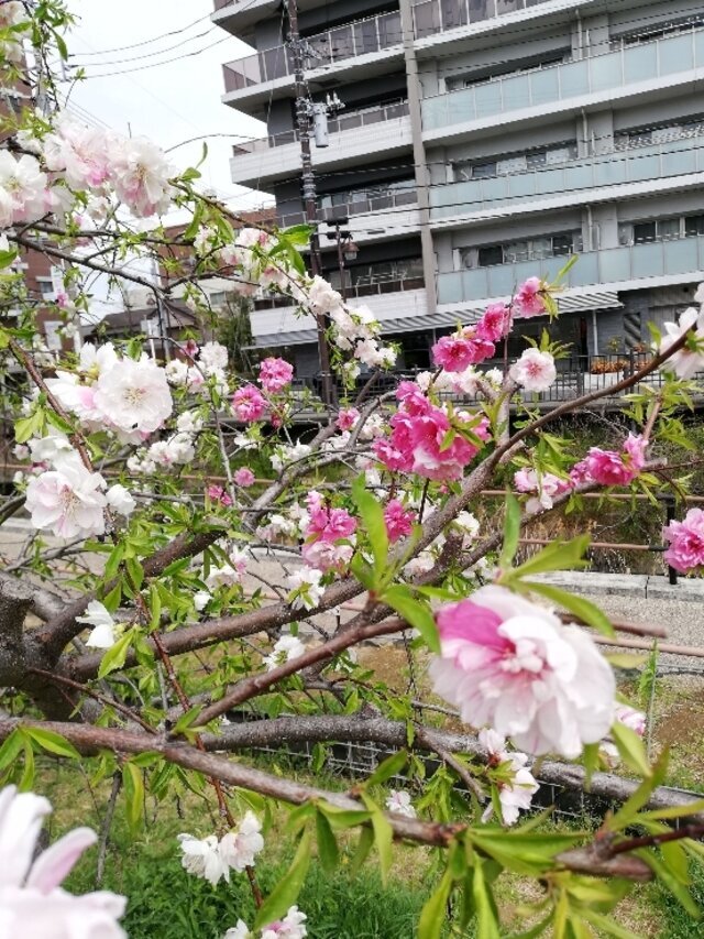 食われたいよね