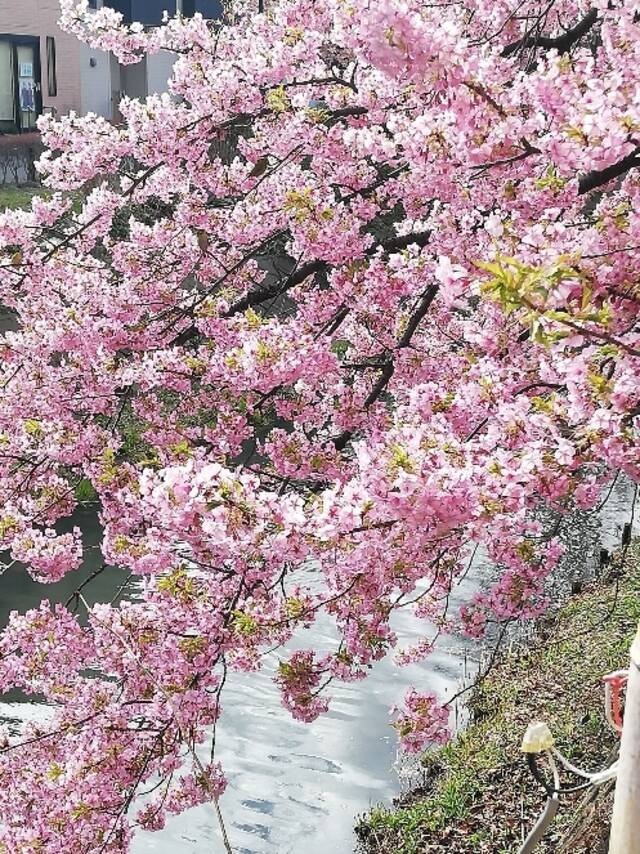 ありがとうございます