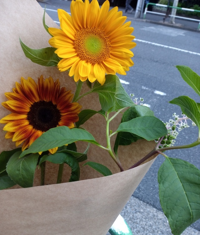 スケジュール提出しました｜写メ日記｜しずく｜鶯谷 ぽっちゃりデリヘル 豊満熟女