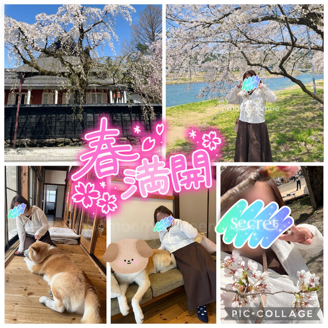 ☆桜☆｜写メ日記｜もえ｜鶯谷 ぽっちゃりデリヘル 豊満熟女