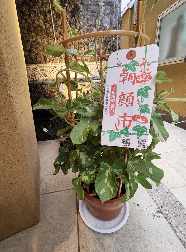 心よりありがとうございました｜写メ日記｜こまち｜鶯谷 ぽっちゃりデリヘル 豊満熟女